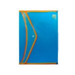 Zinix Clear Liner File (Transparent)
