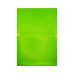 Zinix Secure Court File - Image 2